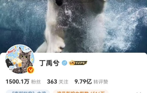 丁禹兮凭《南部档案》一周涨粉30万 总粉破1500万