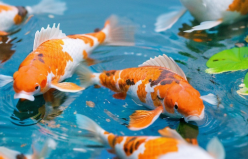 慢慢来，你的花期从来不会迟到接纳自己的节奏静等花开自有期