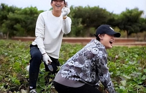 孙俪的“上海小院”火了，院里种菜晒衣服养狗，满满都是烟火气 