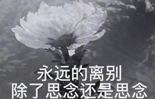 清明顿悟：人死后要待那么久，现在不好好活，亏大了！