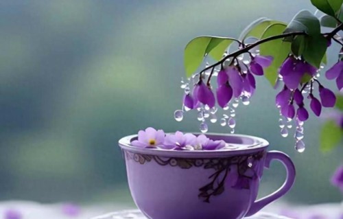 社交圈越干净，人生越高级：独处者的三大隐秘优势