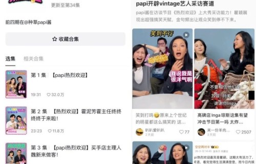 瞿颖领衔“Vintage艺人”翻红，《papi热烈欢迎》的另类突围?_新闻|文心|节目|戴军|综艺|嘉宾