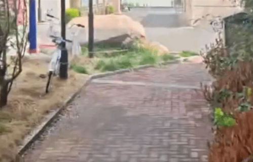 手机落车上一两分钟！司机当场要价50元保管费