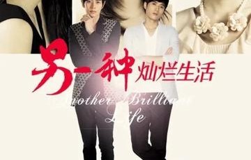 另一种灿烂生活[2012年庄训鑫执导的电视剧]