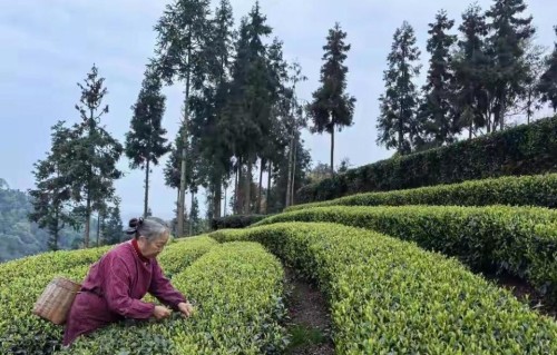 长久婚姻靠什么？70岁老夫妻给出的答案出乎你想象令人泪目