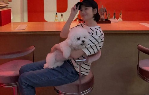 宋慧乔与朋友相聚：白衣牛仔裤显清爽，抱爱犬比耶笑容甜美 