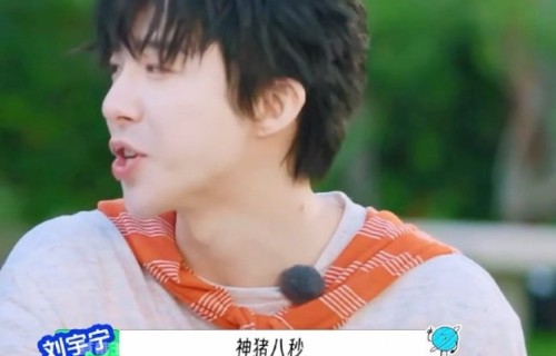 刘宇宁顶胯那几下 即兴舞蹈引发热议_娱乐频道_中华网