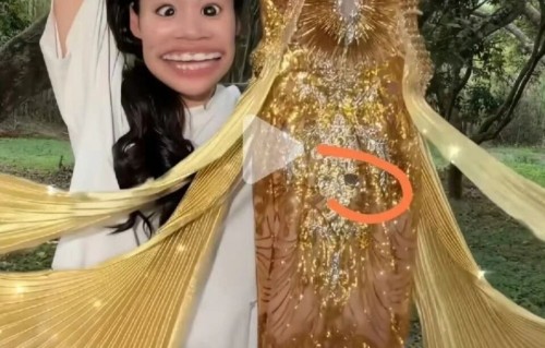 千万粉丝网红弄丢baby穿过的12万礼服碎钻引热议！首部电影搭档金鸡奖影后