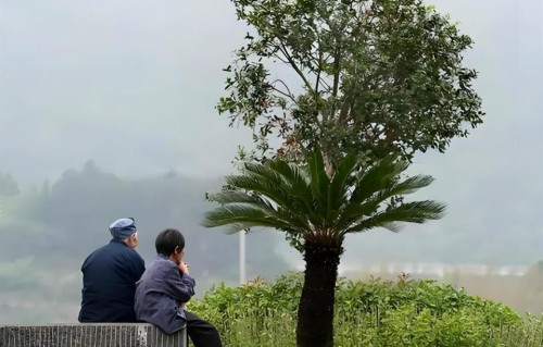 很扎心的对比：农村老人走了，卸下担子；城市老人走了，断了钱袋