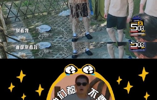 节目组通常会如何处理马頔这类社恐艺人的情绪和综艺效果？|哈哈哈哈哈（真人秀）|轮滑|尴尬|装修|仓鼠