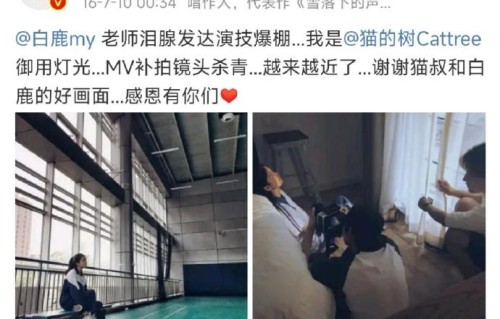 陆虎一家三口助阵白鹿十周年，微末到顶峰的友谊引热议
