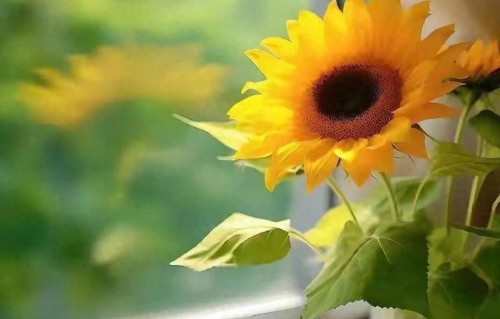 一个家庭最大的灾难，是父母五六十岁了，还随意泄露家庭隐私