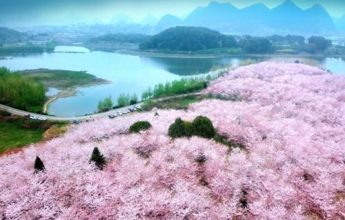 真的很难熬！没有陪伴、没有性生活、没有经济价值