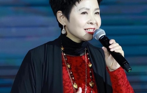 董文华不再隐瞒，揭露了曾经被封杀的原因，原来我们错怪了她