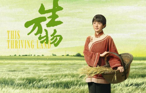 文化湃|2026白玉兰提名公布,一边喝彩一边是意难平_宁绣绣_观众_迪丽热巴