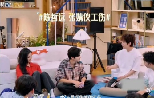 网友对陈哲远和张婧仪在综艺中的互动有何评价？