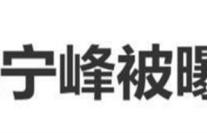 宋宁峰长文认错停工：向妻女与Q女士道歉，自称不配当爸