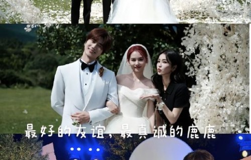 网友对白鹿和陆虎十年友谊的主流评价是什么？