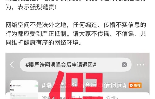 时代少年团否认严浩翔演唱会后申请退团