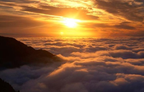 婆媳同住别硬扛！把这几句话讲给老公听，婚姻少受80%的委屈