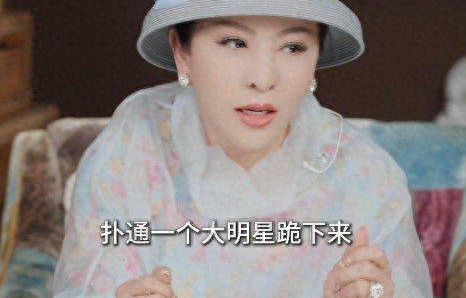 向太谈过往往事，认黄晓明做干儿子|陈岚（向太）|萧敬腾|干妈|陈岚|红十字会