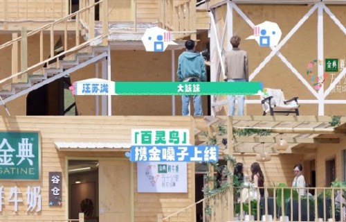 孟子义与汪苏泷在《桃花坞6》中将有哪些新的互动和合作计划？