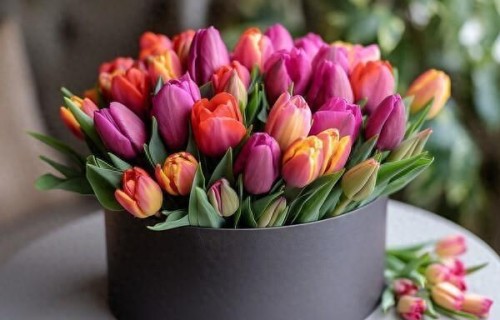 人生后半场，最清醒的活法：不纠缠、不勉强、不辜负自己