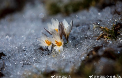 迪丽热巴直播捂腹忍痛工作引关注