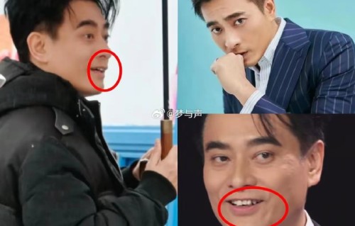 大家为什么喜欢陈龙这个真实人设？