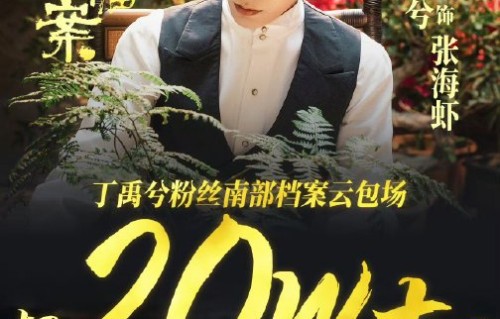 丁禹兮粉丝为《南部档案》进行的云包场具体花了多少钱？