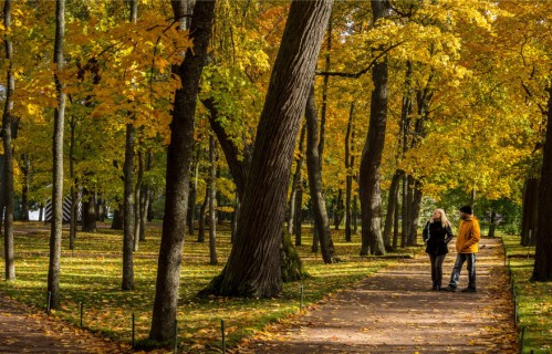 唯有你，留在我的生命里，扎根心底，余生共朝夕