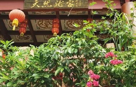 “误闯天家”是什么