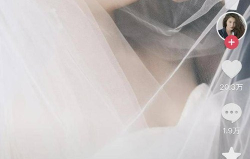 尹子維徐冬冬終修成正果，世紀婚禮取消改為在「椰樹」辦粉絲晚宴