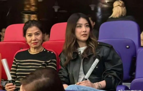 钟楚红陈慧琳现身林忆莲演唱会|女神|童年