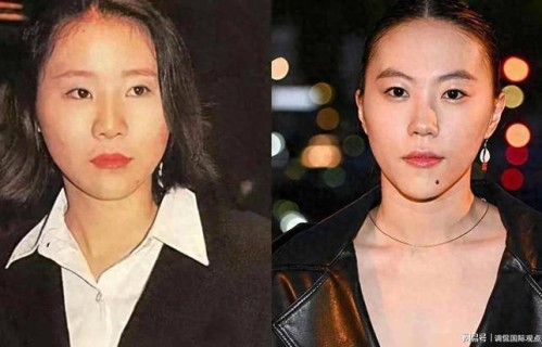 王菲窦唯女儿窦靖童自攒800万报恩姑姑十三年