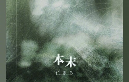 任素汐之后还会发行更多原创歌曲吗？