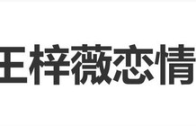 演员王梓薇疑似恋情曝光，与男友街头搂抱热吻