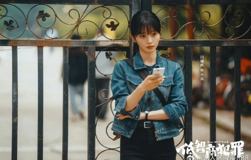 田曦薇低智商犯罪剧情介绍