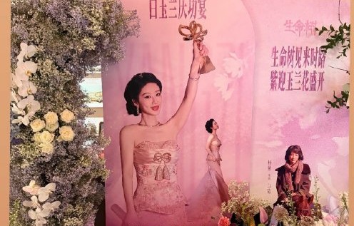 杨紫白玉兰奖庆功宴上的发言|视后|胡歌|生命树|高寒|刘诗诗