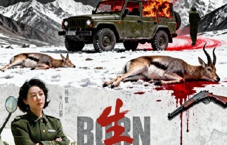 杨紫在《生命树》杀青后表达了哪些不舍和感悟？