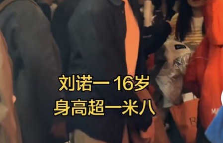 刘烨14岁儿子诺一在法国做了什么事？