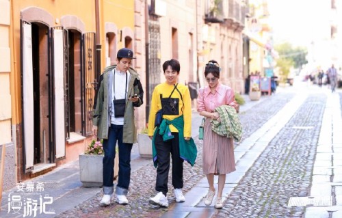 秦岚李小冉合作综艺什么时候官宣？