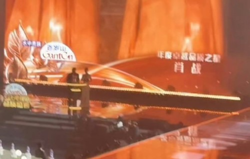 肖战在《藏海传》中的表现具体获得了哪些专业奖项或认可？|年轻演员奖|同期声|流量剧|视帝|盛典