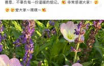 李金铭本人对于这起长达十年的网络谣言事件，是什么态度和看法？|林嘉荣kimi|封禁|节目|农户|婆婆