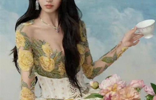 田曦薇 黄玫瑰透视礼服，靓丽又带点小妩媚