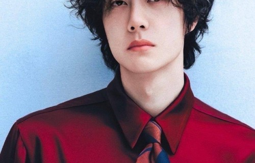 肖战王一博苏新皓霸占国际时装周前三，内娱时尚顶流格局，三代艺人同框封神