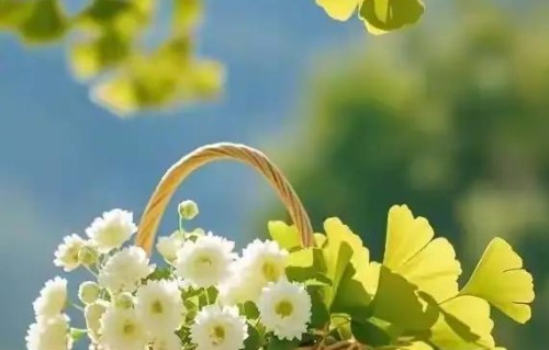 55-65岁这十年，惜命的方式，不是锻炼，是做好这6点