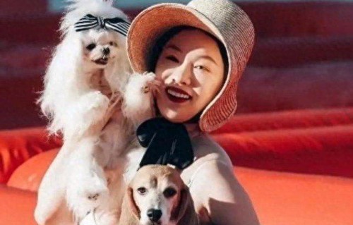 45岁女星淡出荧幕，不拍戏养20狗生活幸福|娱乐圈|杜江|知名女星|荧幕|霍思燕|欢天喜地七仙女|网易新闻|宠物|母狗|素颜