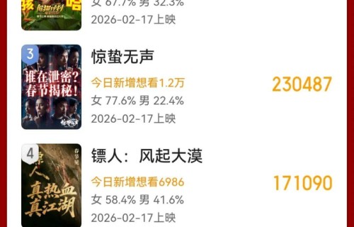 二月银幕，盛宴已开|熊出没·年年有熊|镖人：风起大漠|飞驰人生3|星河入梦|惊蛰无声