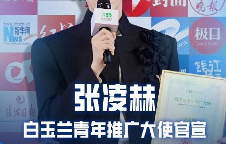 为什么选张凌赫当白玉兰青年推广大使？